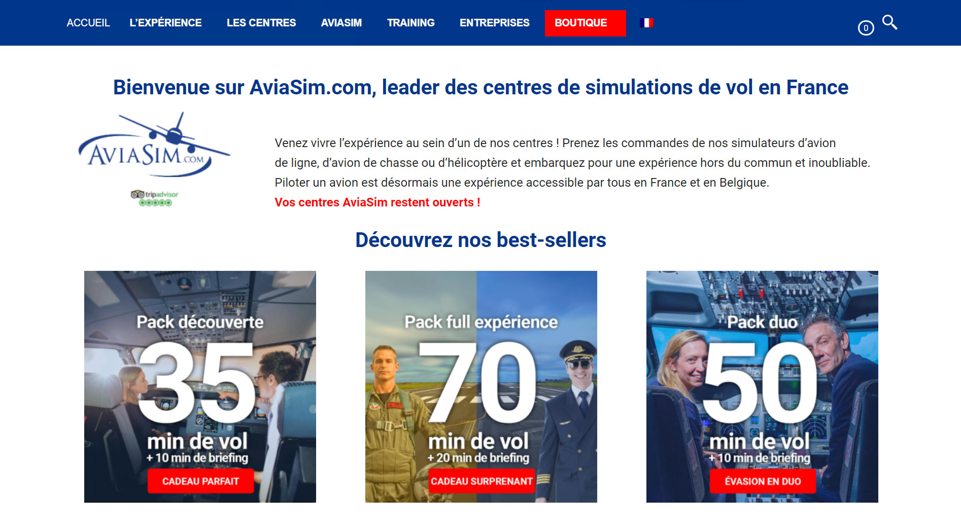 AviaSim - Expériences en simulateur de vol en France